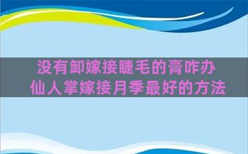 没有卸嫁接睫毛的膏咋办 仙人掌嫁接月季最好的方法